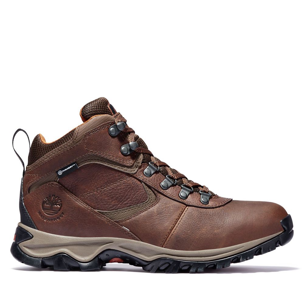 Botas de Montaña Timberland Argentina Hombre - Mt. Maddsen Mid Waterproof - Marrones - OMSETF-317